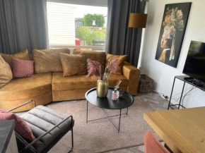 Nr 88 Neues, ruhiges hundefreundliches Ferienhaus direkt am Wattenmeer, komplett eingezäunt